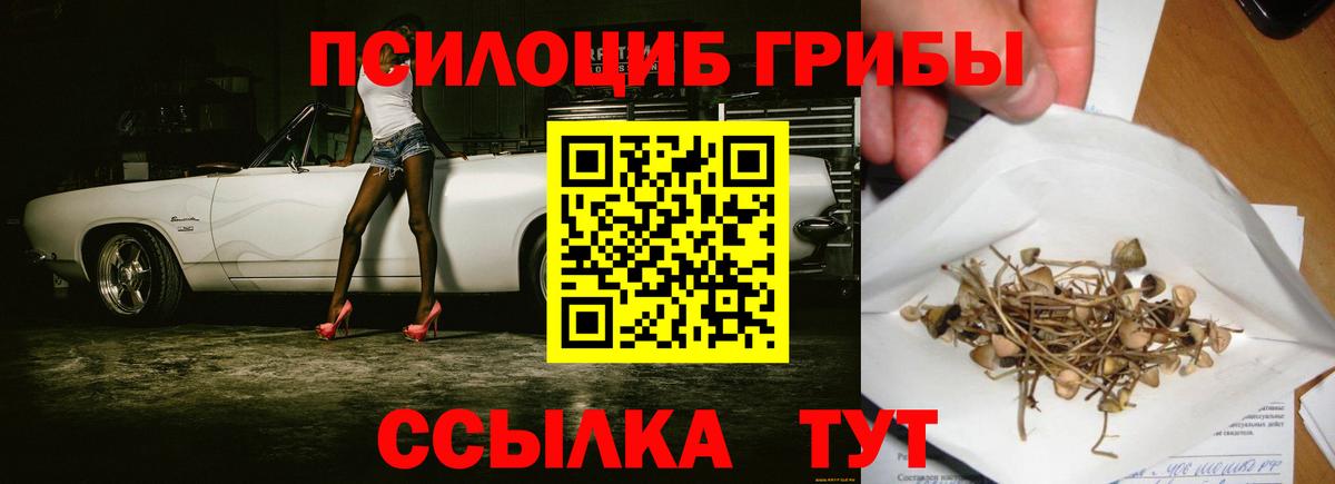 Псилоцибиновые грибы GOLDEN TEACHER Наро-Фоминск